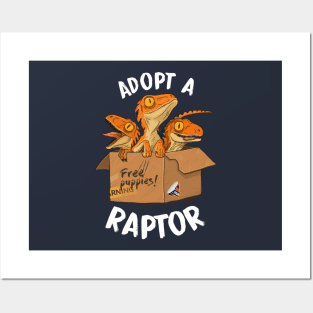 Adopt a raptor Posters and Art